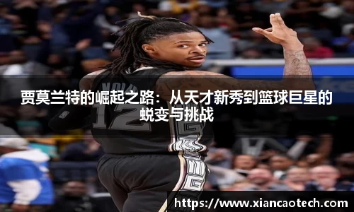 意昂体育官网